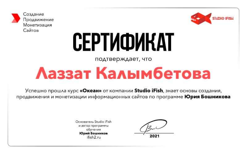 Курс «Океан» — создание и продвижение сайтов